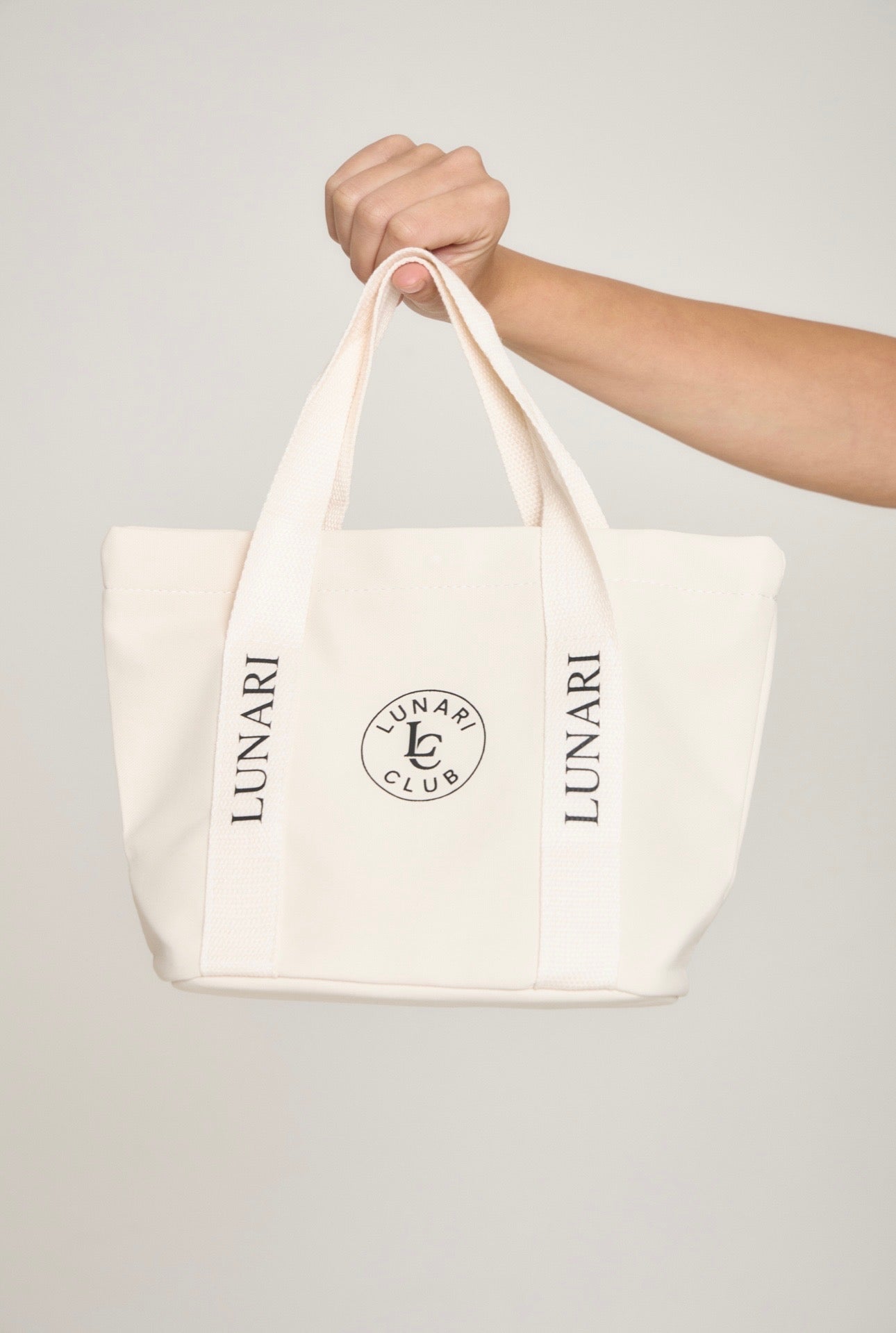 Mini Tote